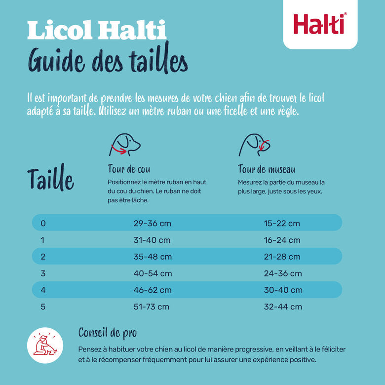 Collier Halti noir chien