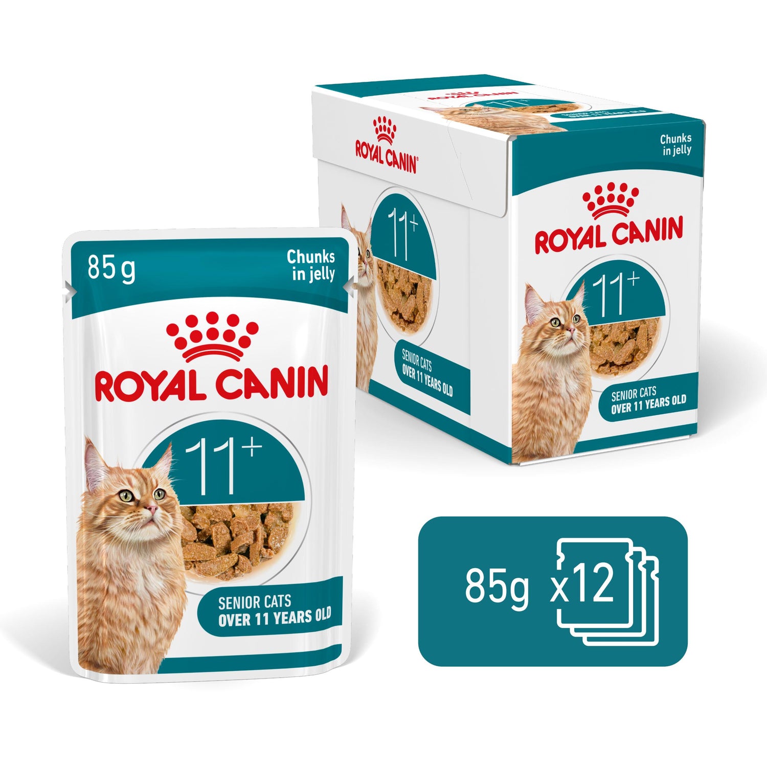 Royal Canin Ageing 11+