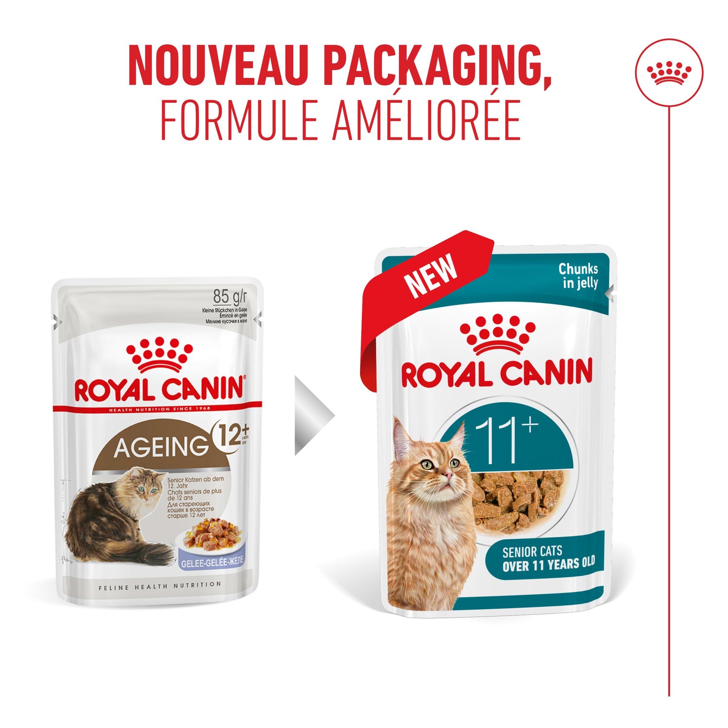 Royal Canin Ageing 11+