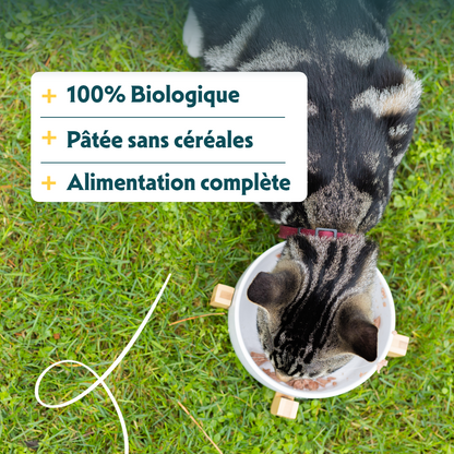 Yarrah pâtée bio sans céréales - Lot 16 x 100g