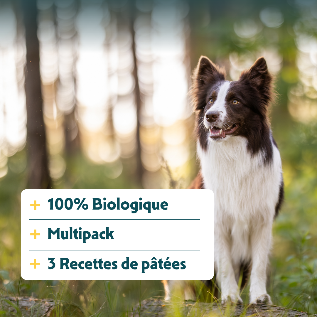 Yarrah multi-pack bio - Lot 6 x 150g