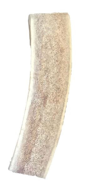 Bois de cerf coupé  taille L