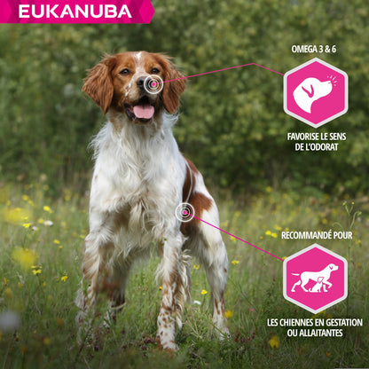 Eukanuba Daily Care Working &amp; Endurance