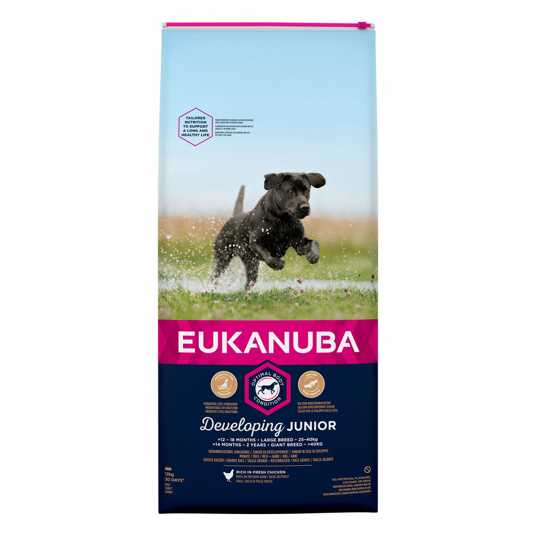 Eukanuba Junior Large & Giant Breed