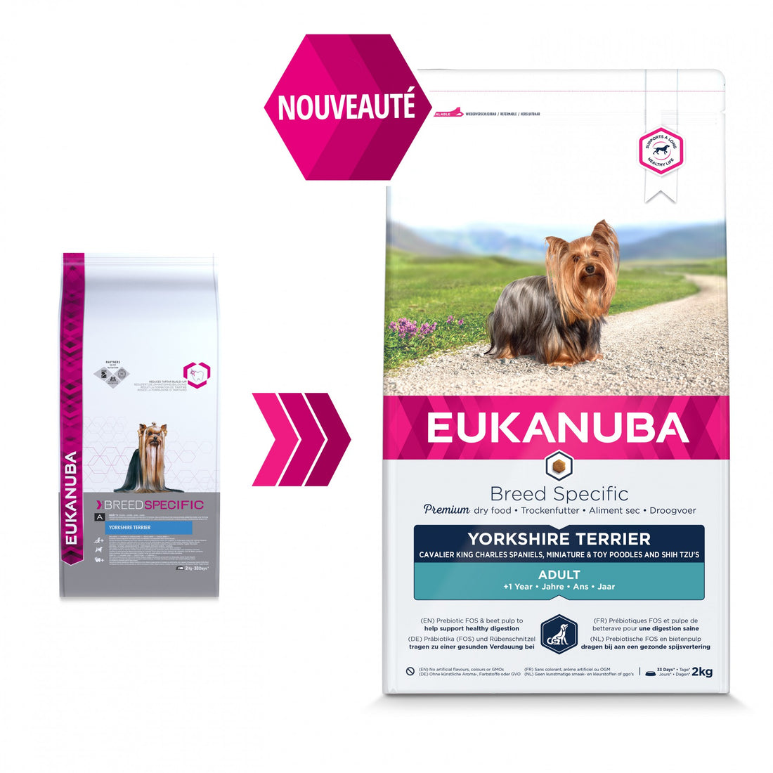 Eukanuba Breed Specific Yorkshire Terrier