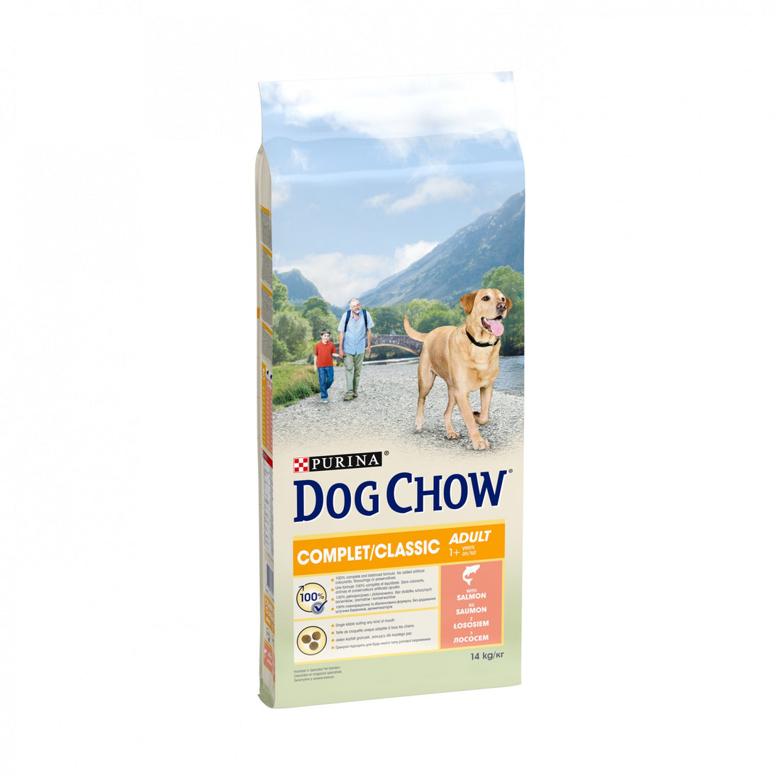 PURINA DOG CHOW Complet Adult au Saumon - Croquette pour chien