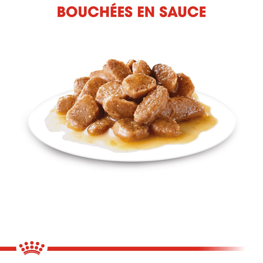 Royal Canin Mini Adult - Pâtée pour chien