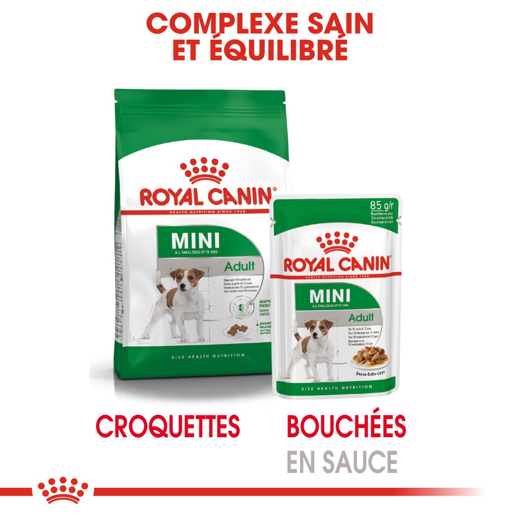 Royal Canin Mini Adult - Pâtée pour chien