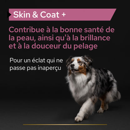 PRO PLAN® Skin &amp; Coat+ en huile - Aliment complémentaire pour chien