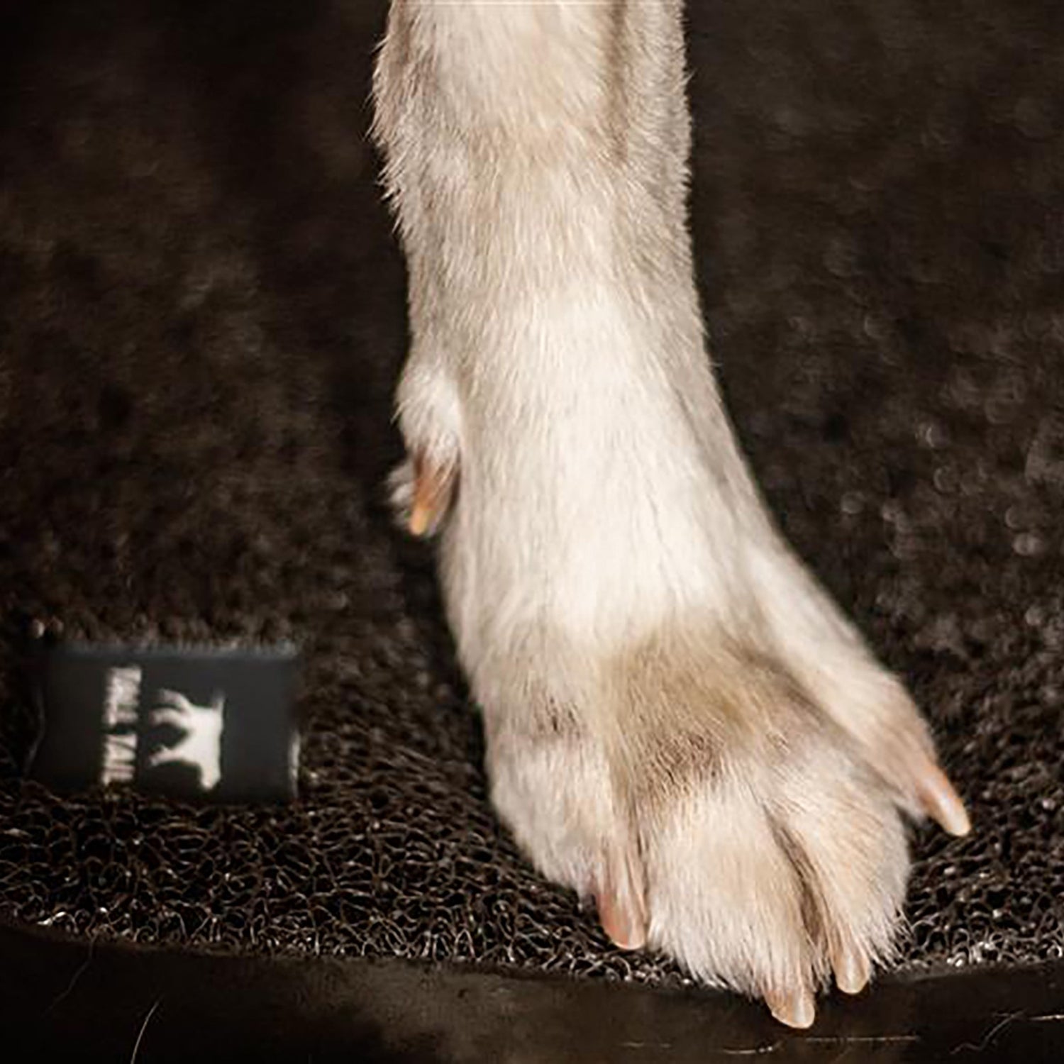 Tapis de bain