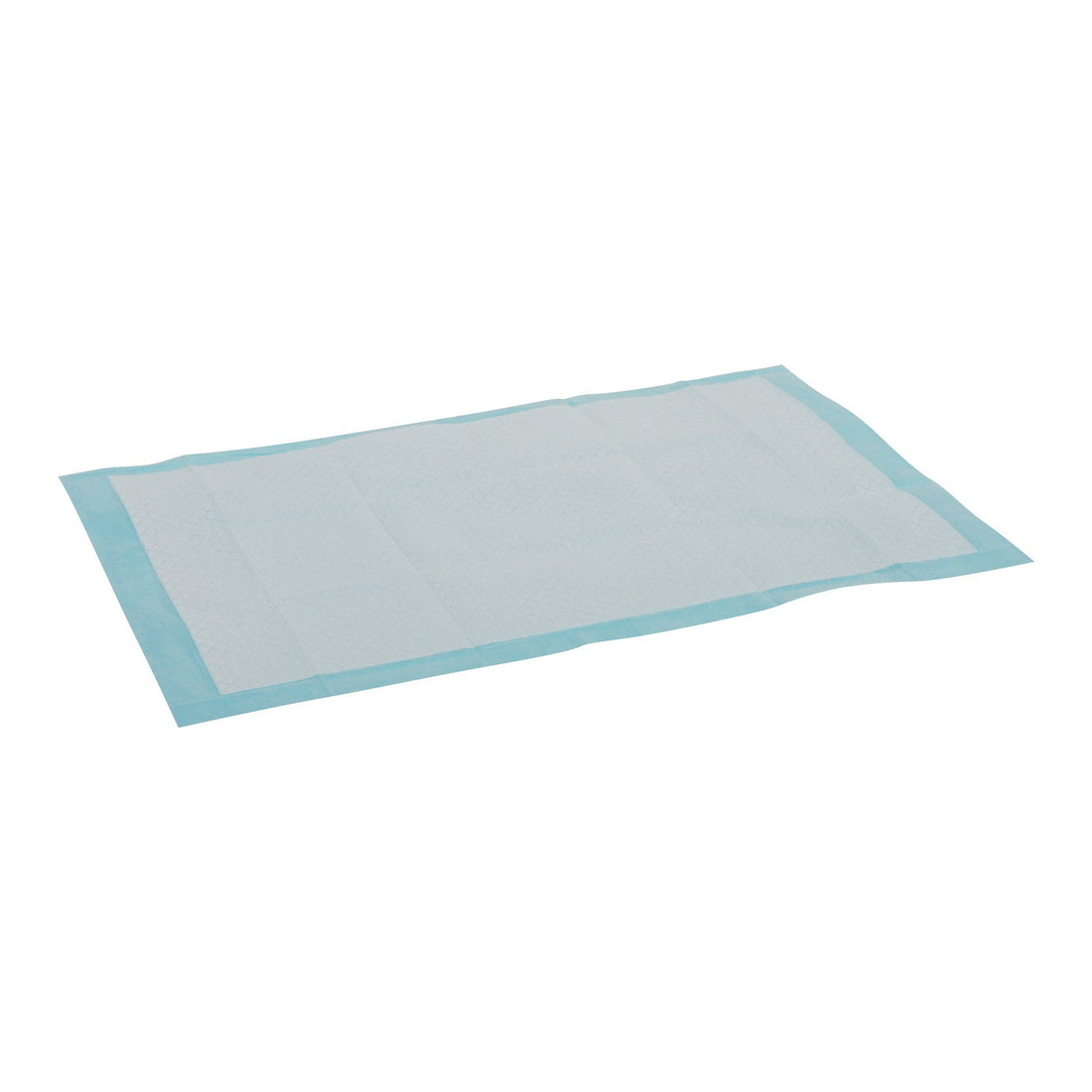 Tapis d’éducation chiot