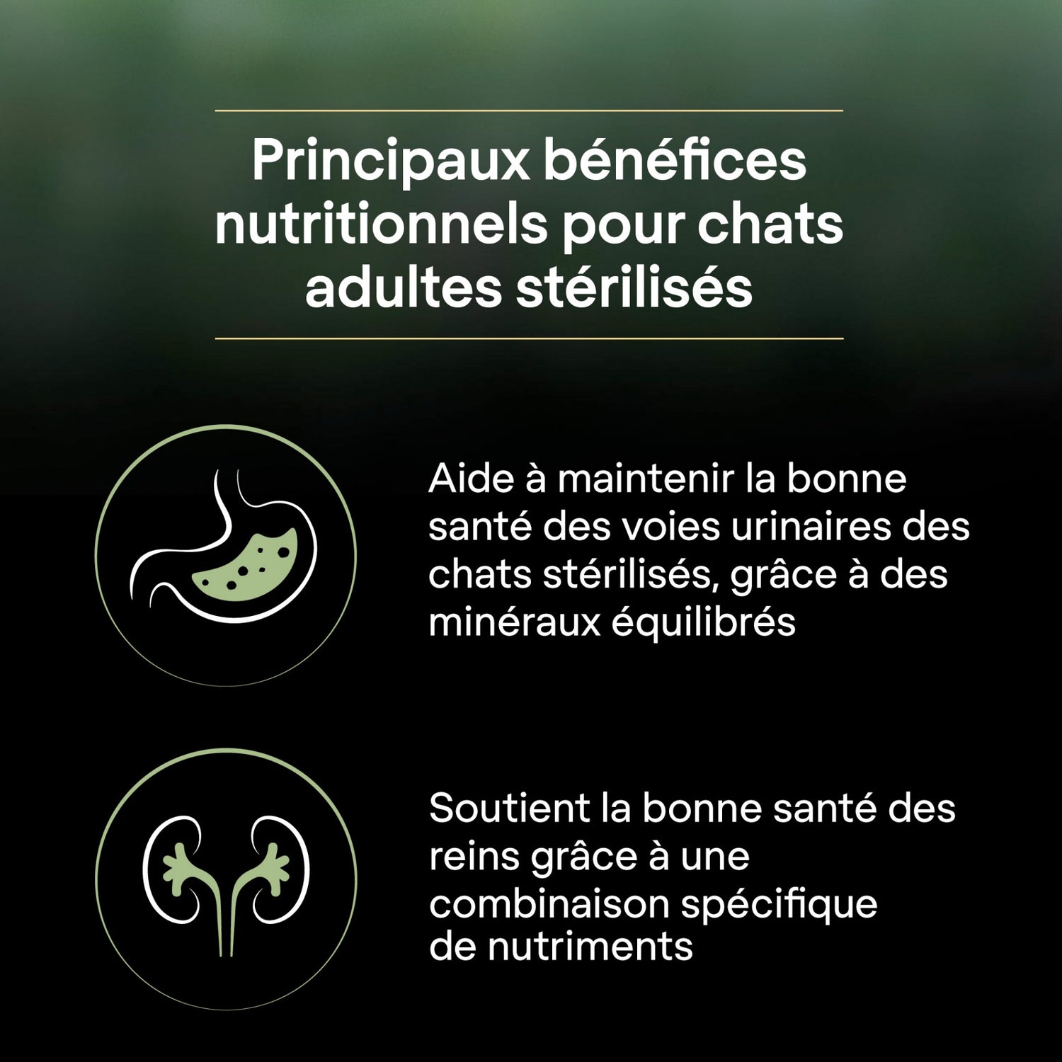 PRO PLAN LiveClear Sterilised Adult au Saumon - Croquettes pour chat