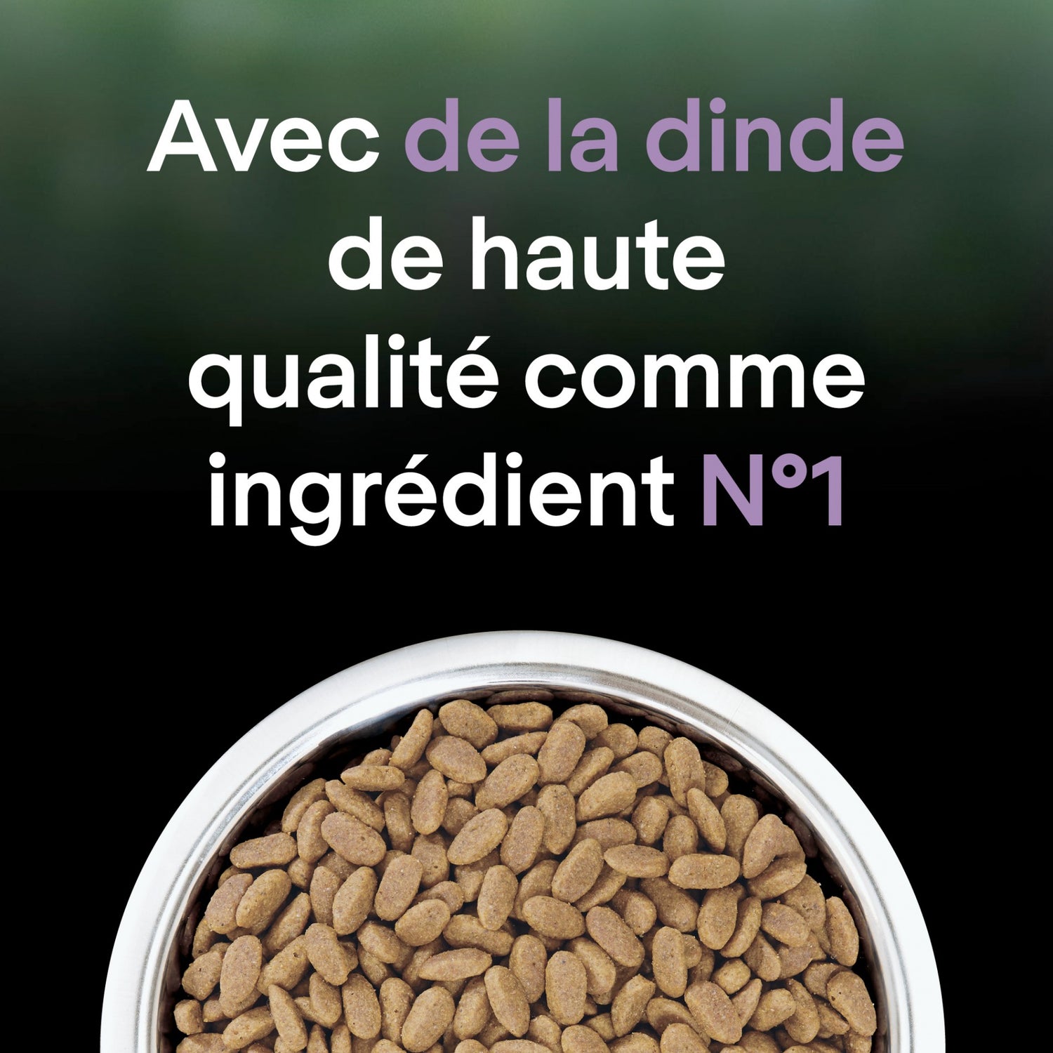 PRO PLAN LiveClear Sterilised Senior à la Dinde - Croquettes pour chat