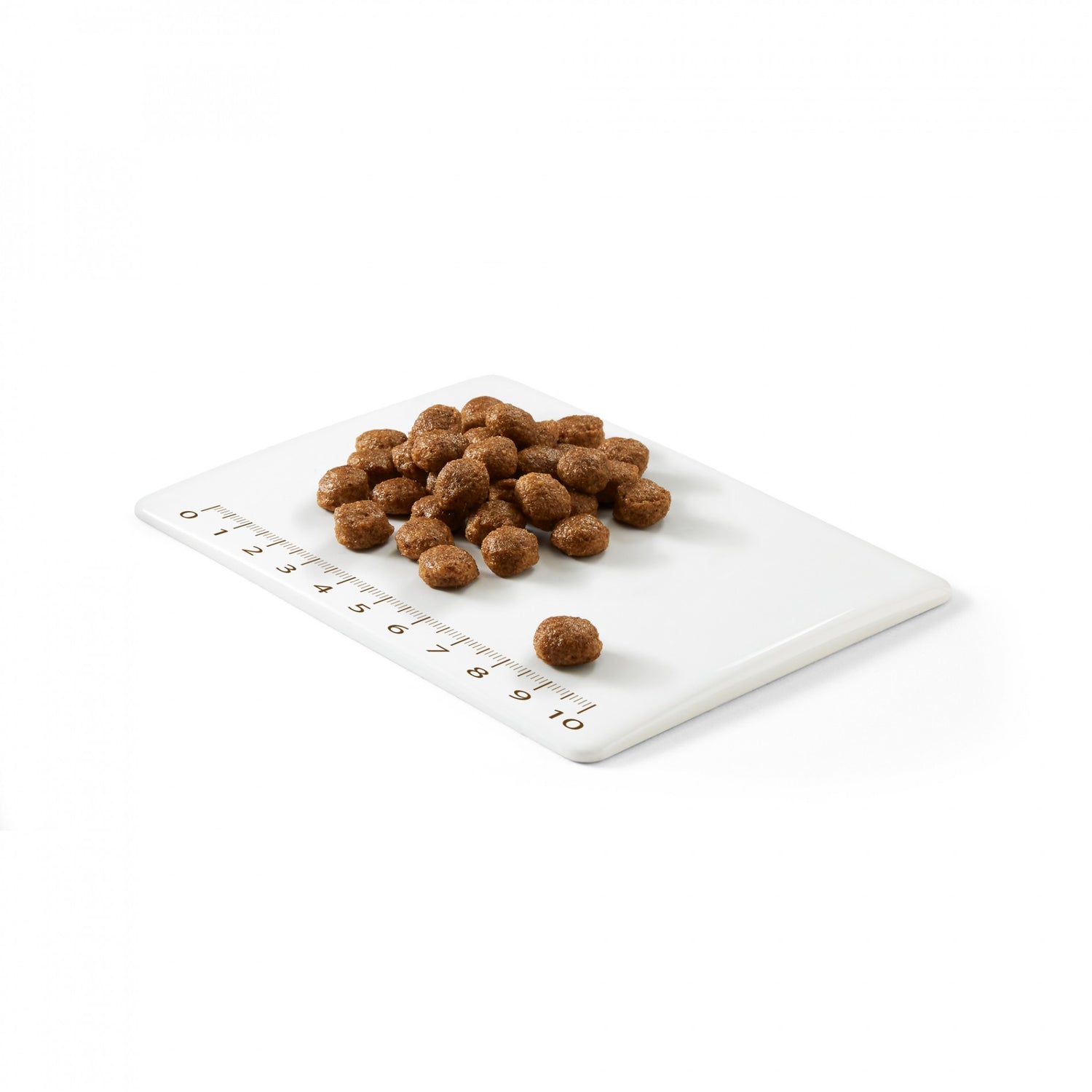 Schesir Croquettes Natural Selection Adult Delicate - Boeuf