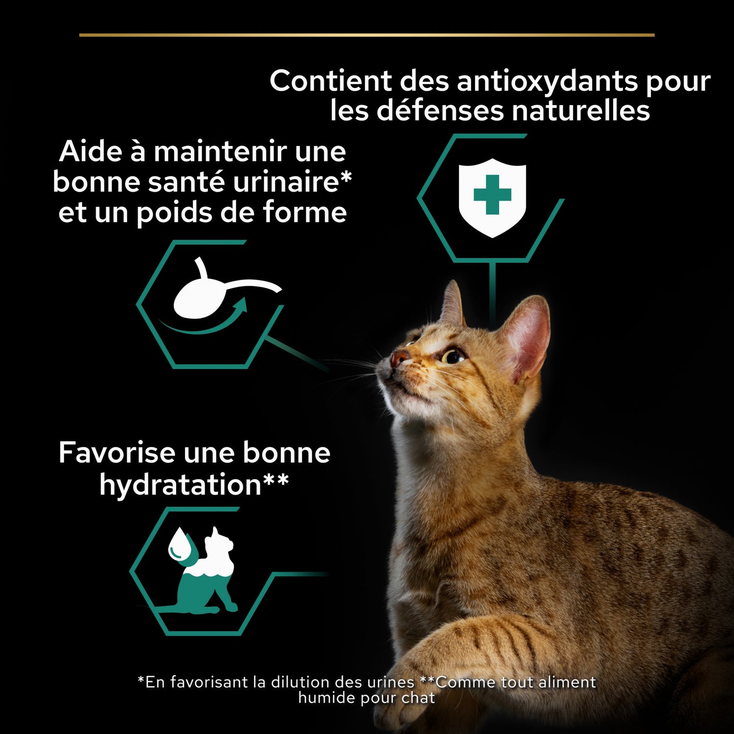 Proplan Nutrisavour Sterilised en mousse
