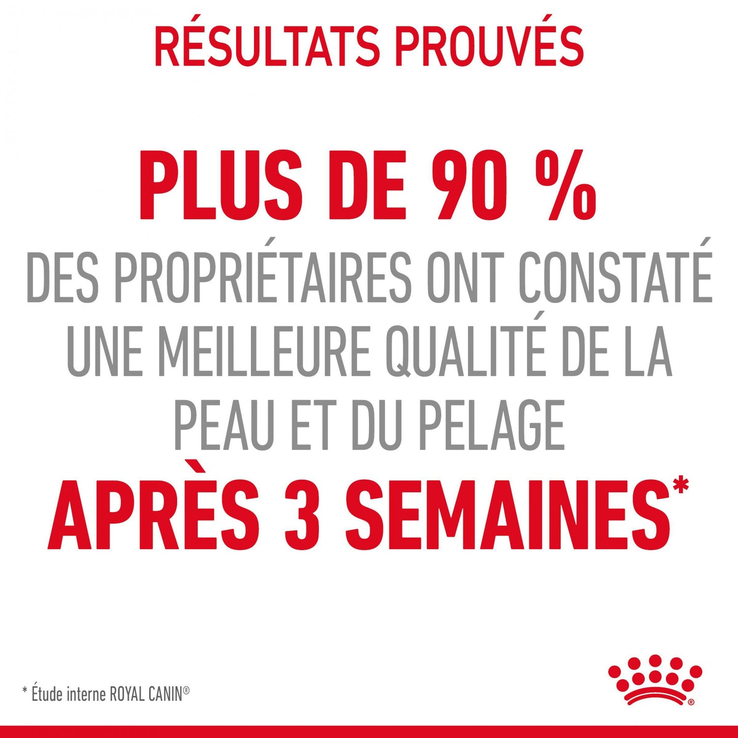Royal Canin Intense Beauty