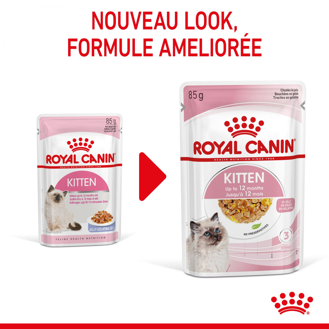 Royal Canin Kitten en gelée - pâtée chaton