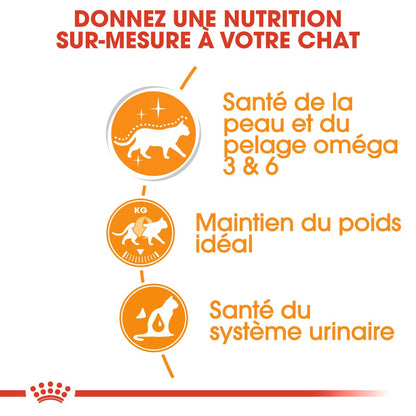 Royal Canin Intense Beauty