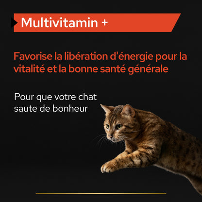 PRO PLAN Multi Vitamins+ en poudre - Aliment complémentaire pour chat