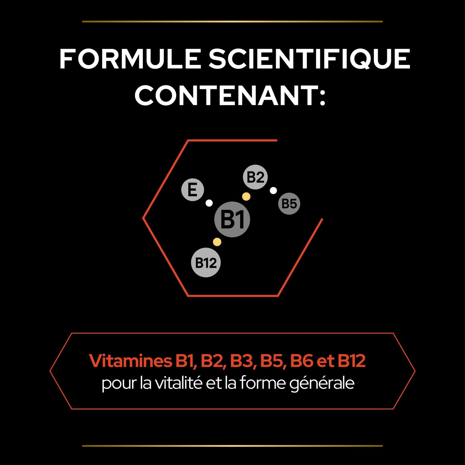 PRO PLAN Multi Vitamins+ en poudre - Aliment complémentaire pour chat