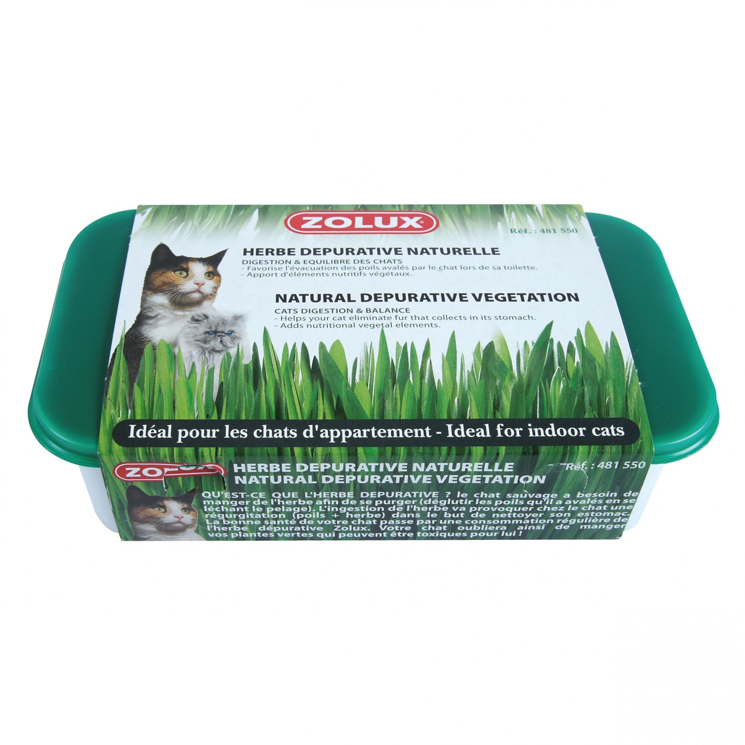 Herbe à chat dépurative naturelle