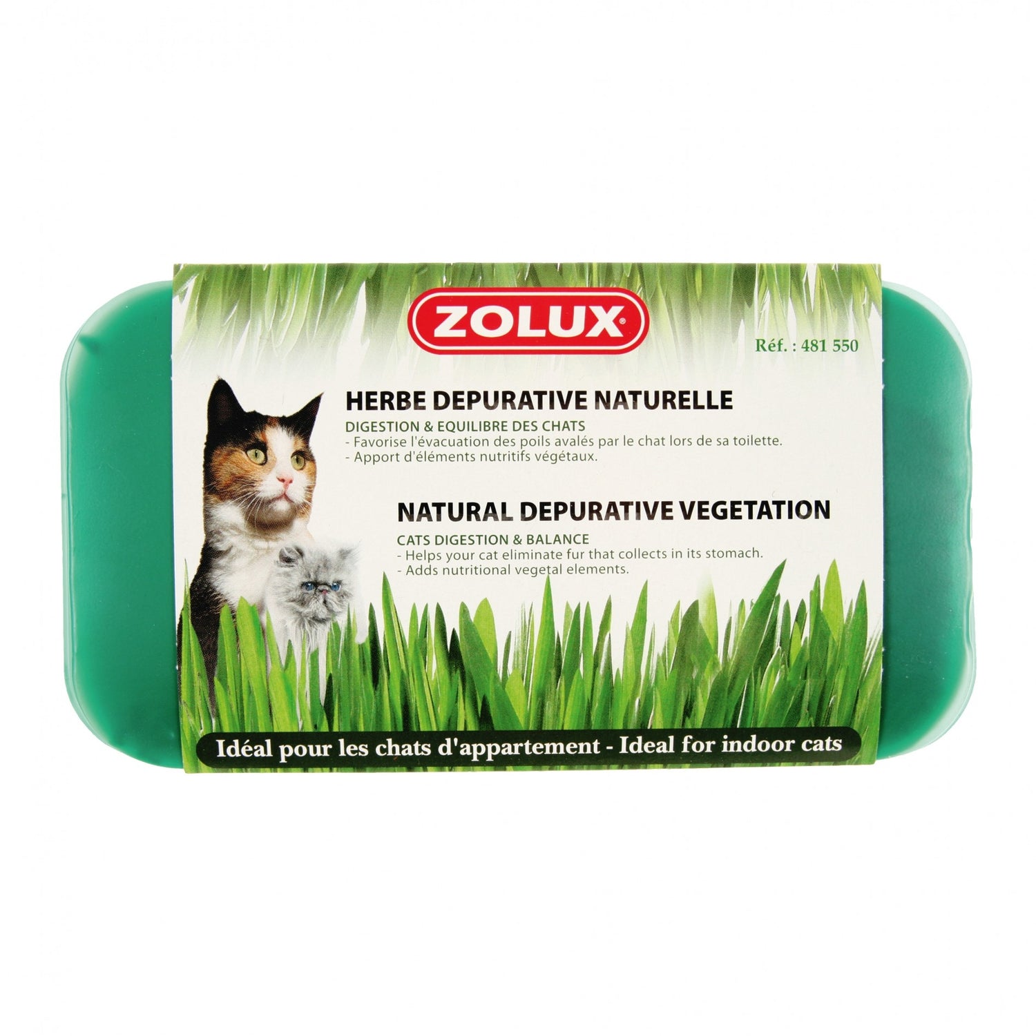 Herbe à chat dépurative naturelle