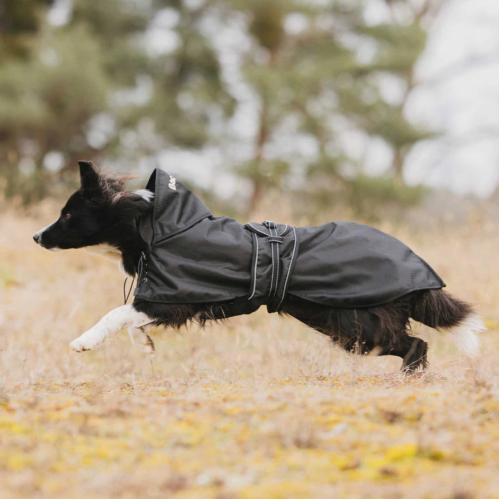 BOT MANTEAU  POUR CHIEN