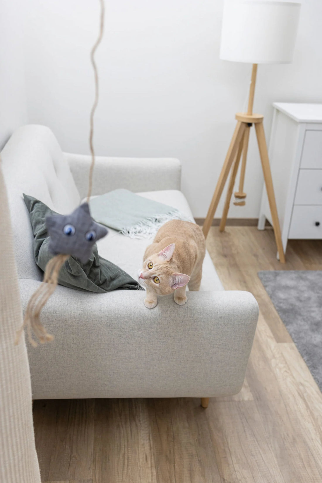 Jouet canne à pêche Marie chat