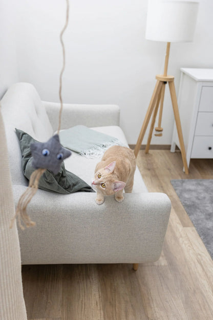 Jouet canne à pêche Marie chat