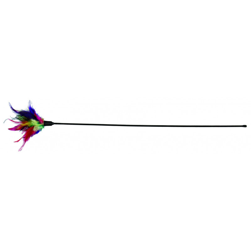 Plumeau multicolore chat