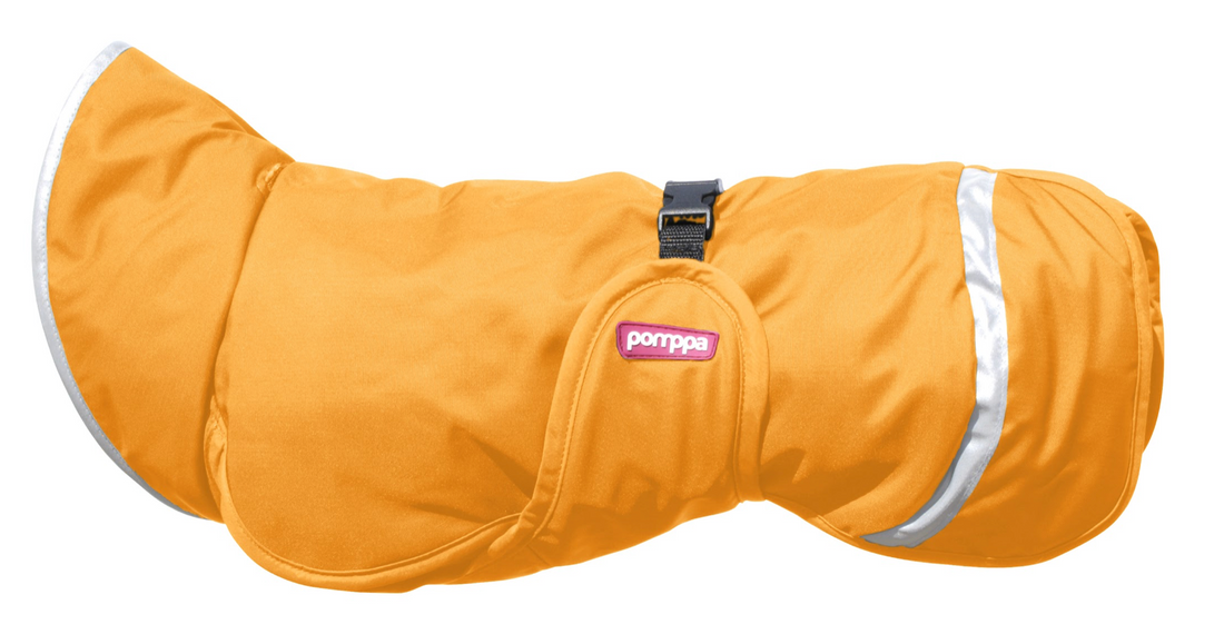 Pomppa Kevyt manteau imperméable pour chien Dandelion