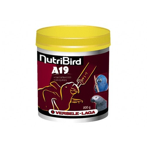 Nutribird A21 oisillons