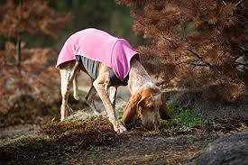 Pomppa Jumppa manteau polaire pour chien Calluna