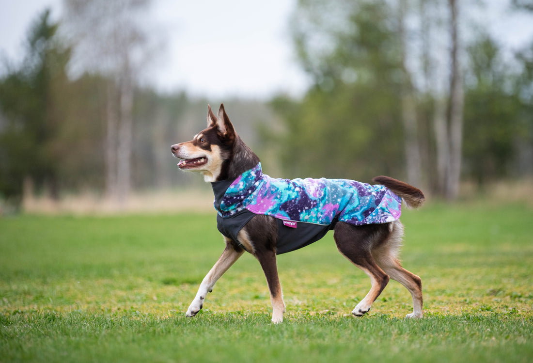Pomppa Jumppa manteau polaire pour chien Aurora