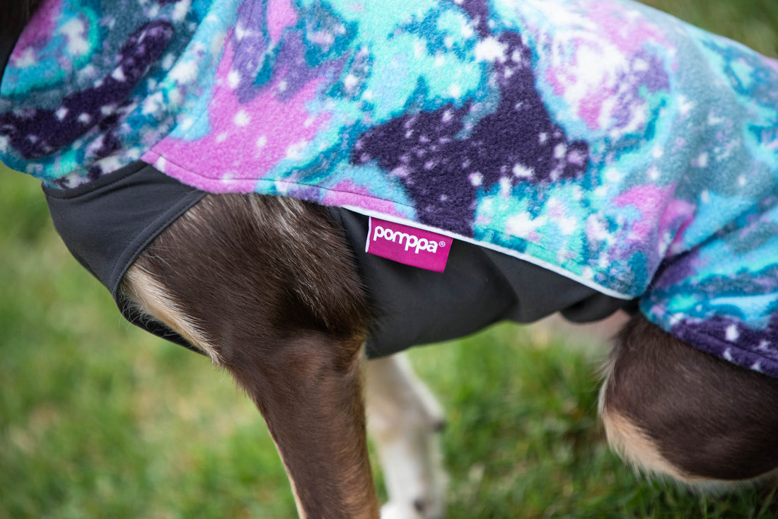 Pomppa Jumppa manteau polaire pour chien Aurora
