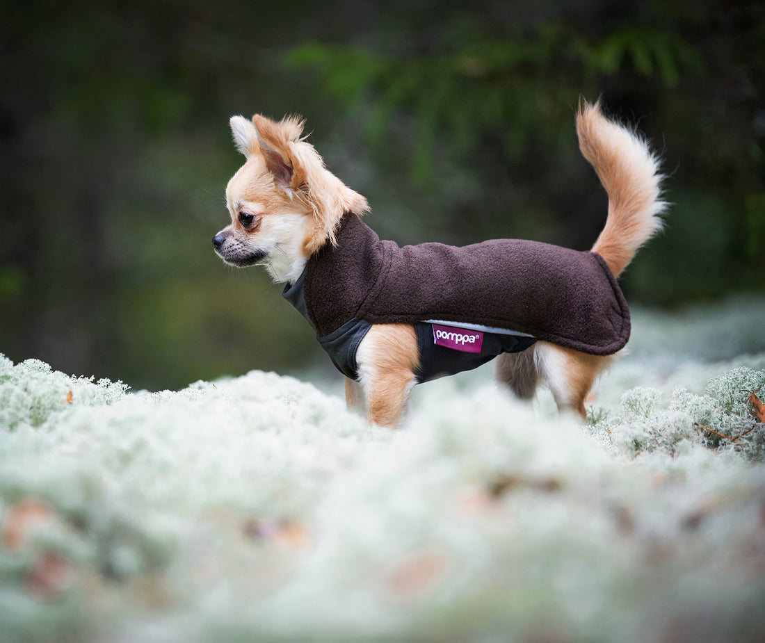 Pomppa Jumppa manteau polaire pour chien Chocolat