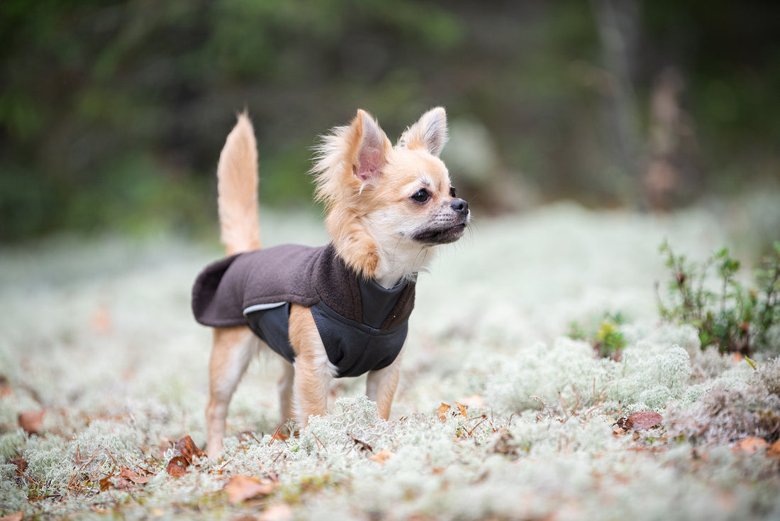 Pomppa Jumppa manteau polaire pour chien Chocolat