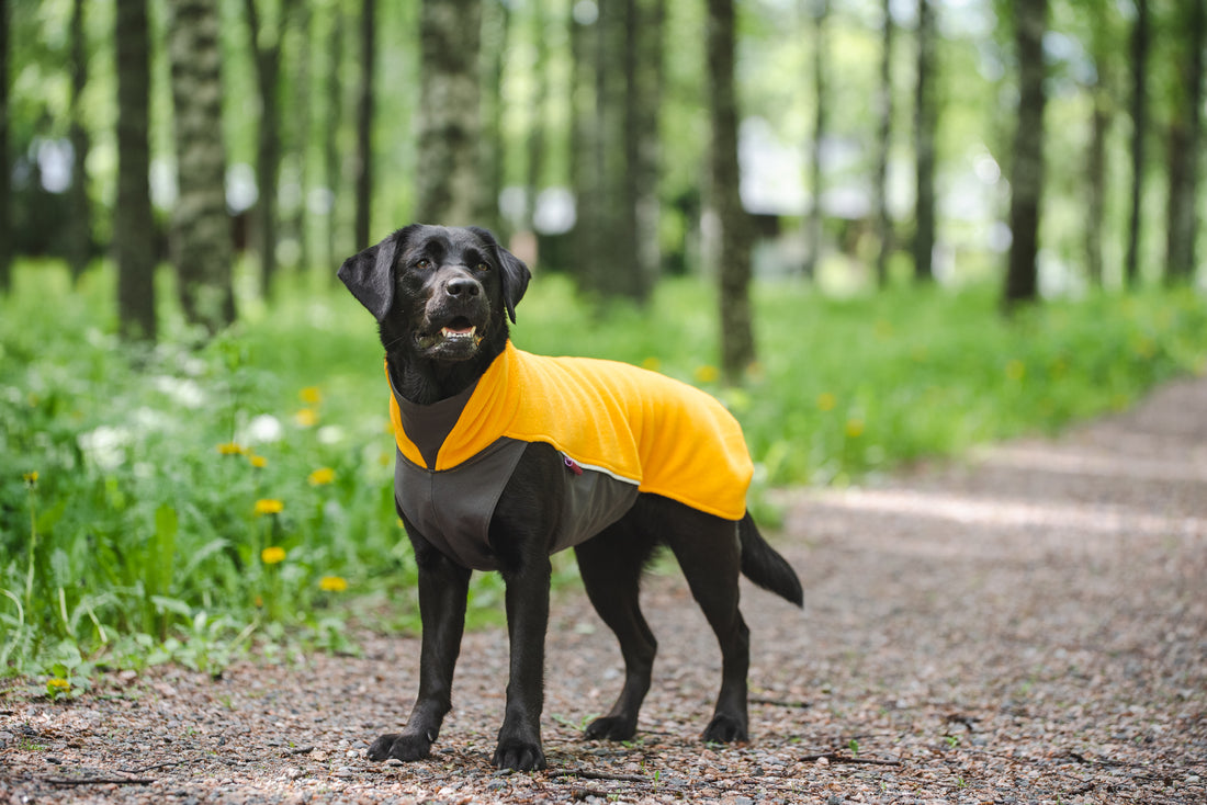 Pomppa Jumppa manteau polaire pour chien Curry
