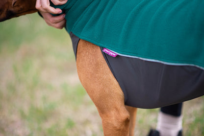 Pomppa Jumppa manteau polaire pour chien Forest
