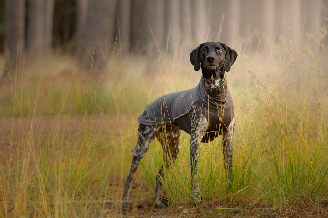 Pomppa Jumppa manteau polaire pour chien Graphite