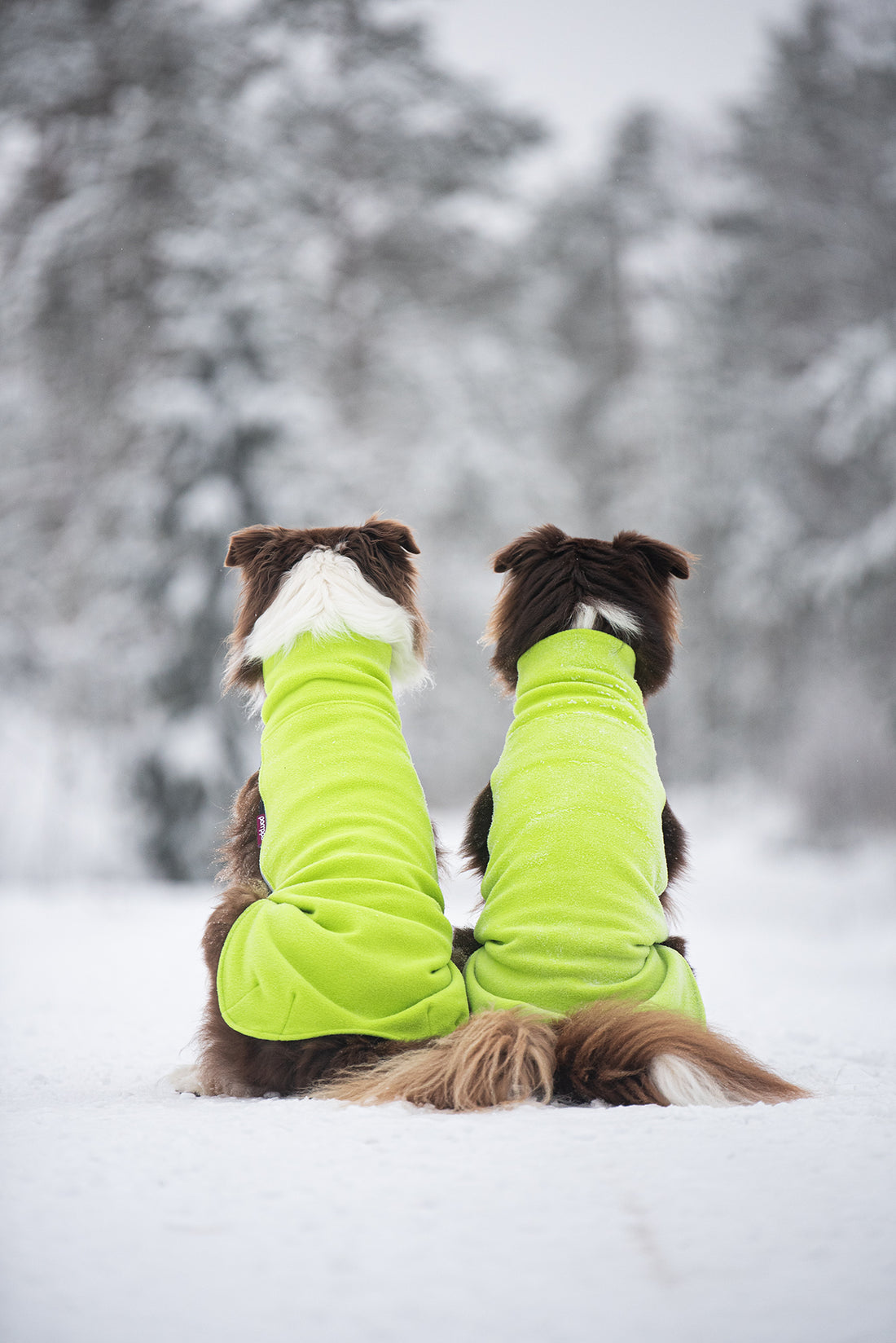 Pomppa Jumppa manteau polaire pour chien Lime