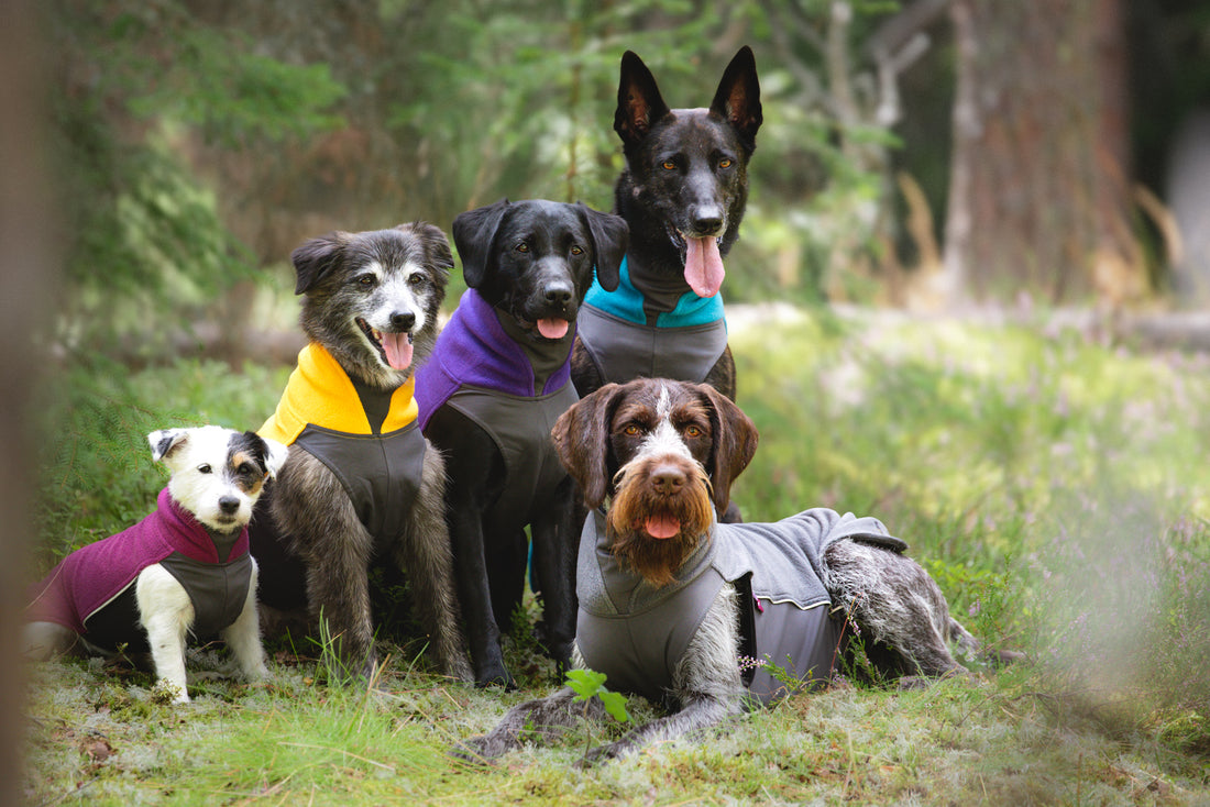 Pomppa Jumppa manteau polaire pour chien Dandelion
