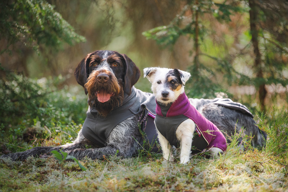 Pomppa Jumppa manteau polaire pour chien Plum