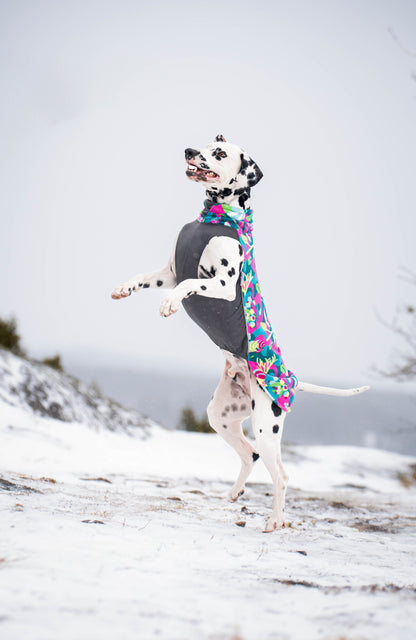 Pomppa Jumppa manteau polaire pour chien Trail