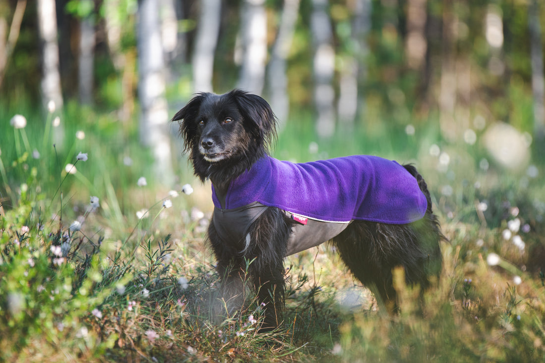 Pomppa Jumppa manteau polaire pour chien Violet