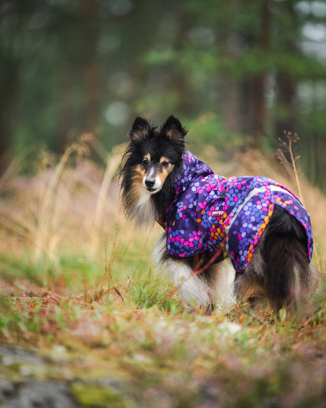 Pomppa Kevyt manteau imperméable pour chien Cosmos