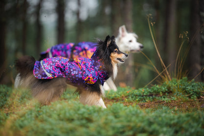 Pomppa Kevyt manteau imperméable pour chien Cosmos
