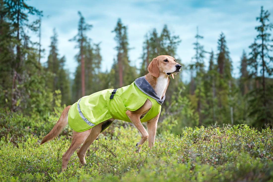 Pomppa Kevyt manteau imperméable pour chien Lime