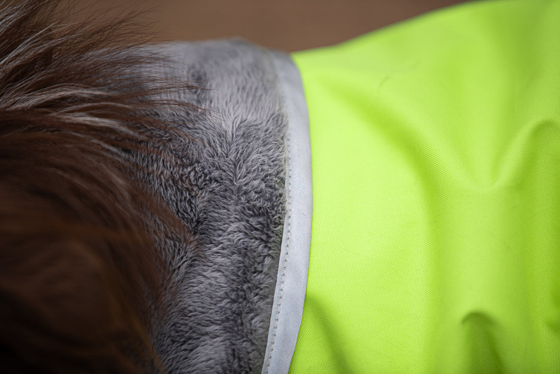 Pomppa Kevyt manteau imperméable pour chien Lime