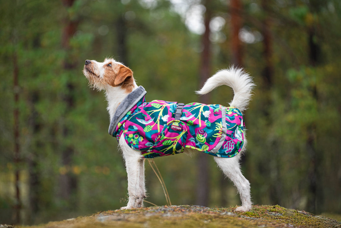 Pomppa Kevyt manteau imperméable pour chien Trail